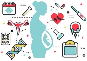 Pregnant Mom Vector Pack - vector #377923 gratis